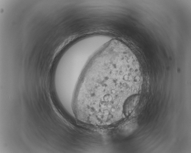 X0000084030734200703022122