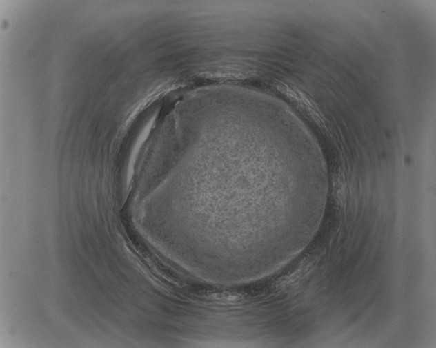 X0000084030735200703022122