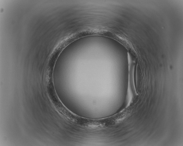 X0000084030736200703022122