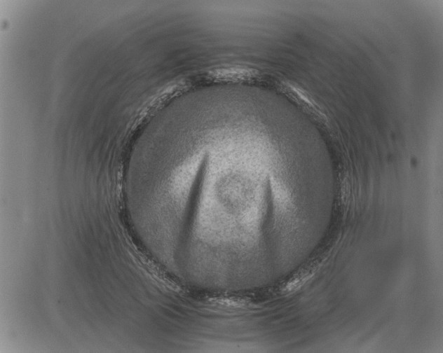 X0000084030737200703022122