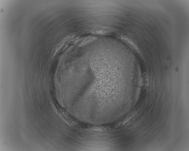 X0000084030738200703022122