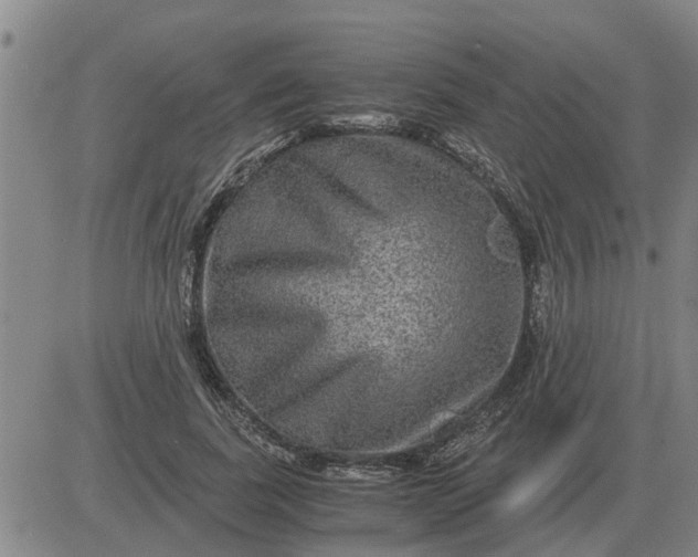 X0000084030739200703022122