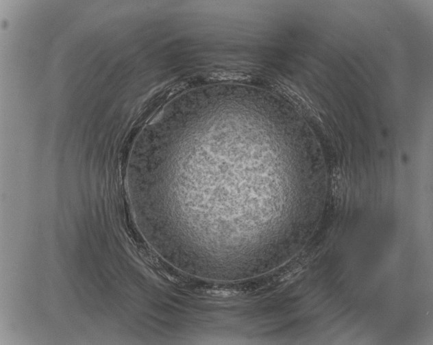 X0000084030741200703022122