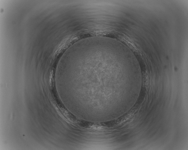 X0000084030742200703022122