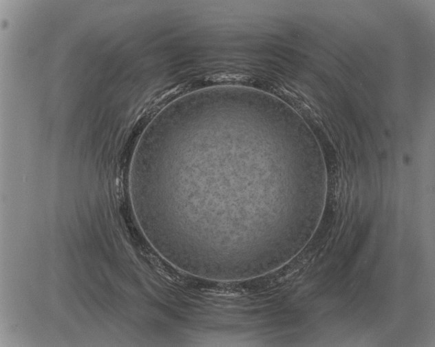 X0000084030743200703022122