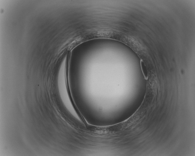 X0000084030744200703022122