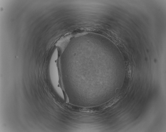 X0000084030746200703022122