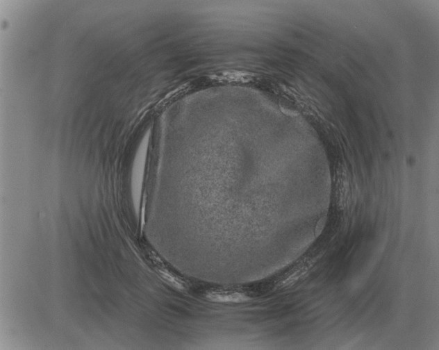 X0000084030747200703022122