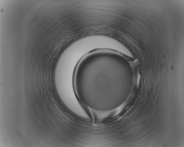 X0000084030748200703022122