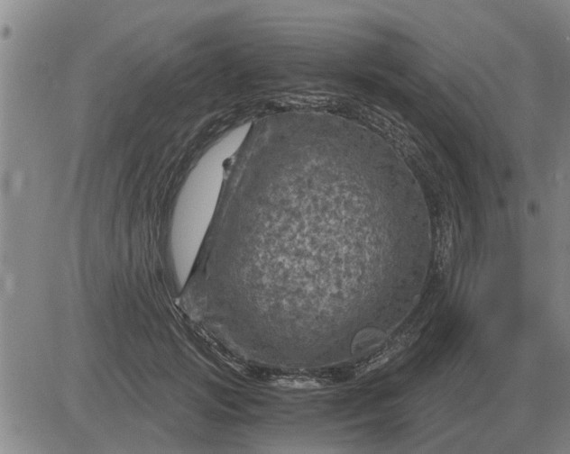 X0000084030749200703022122