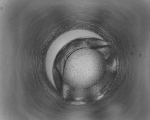 X0000084030750200703022122