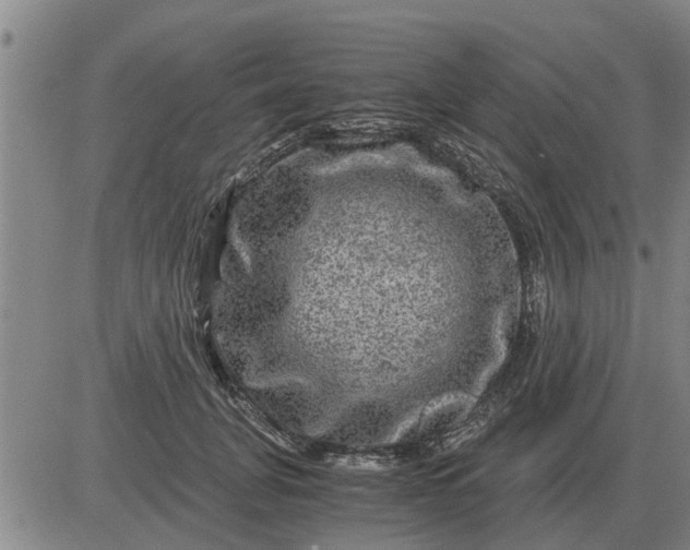 X0000084030751200703022122