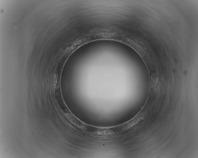 X0000084030752200703022122