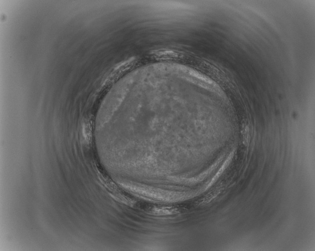 X0000084030753200703022122