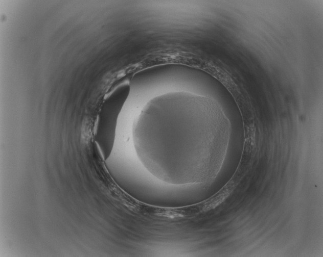 X0000084030754200703022122