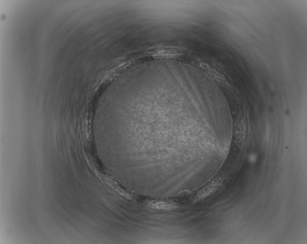 X0000084030755200703022122