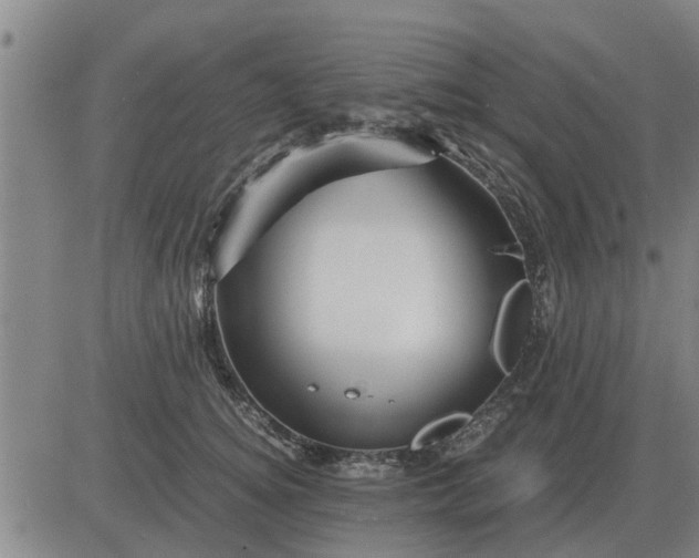 X0000084030756200703022122