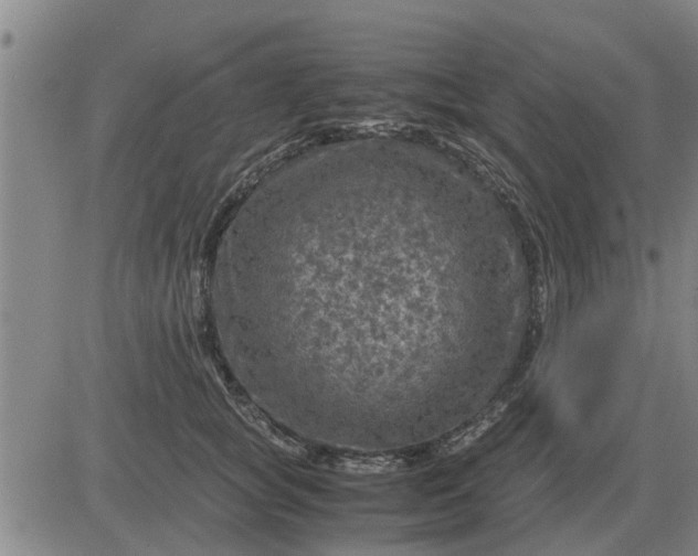 X0000084030757200703022122