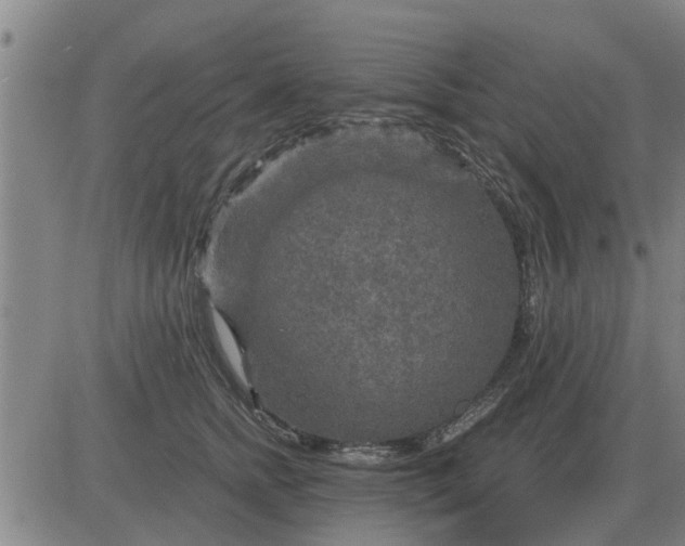 X0000084030758200703022122