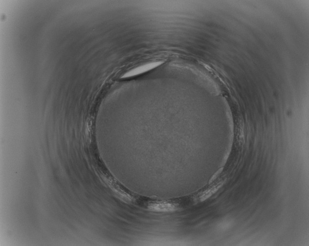 X0000084030759200703022122