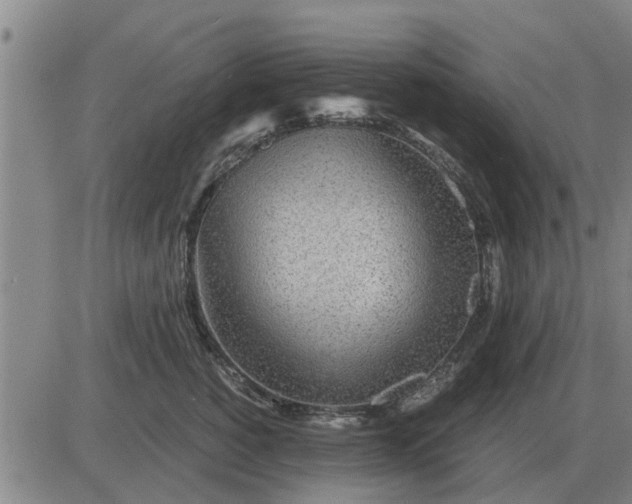 X0000084030760200703022122