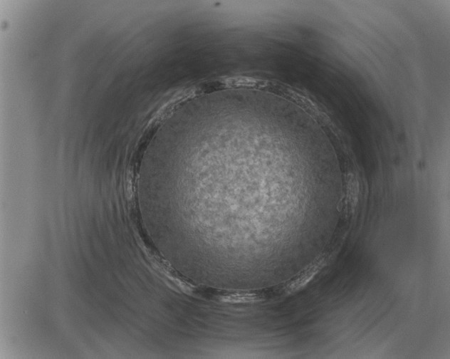 X0000084030761200703022122