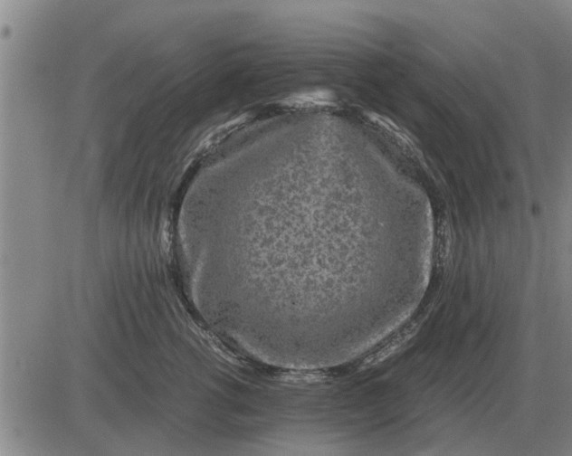 X0000084030762200703022122