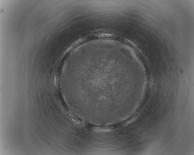 X0000084030763200703022122