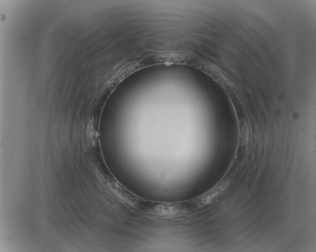 X0000084030764200703022122