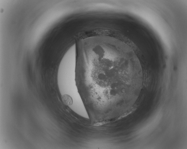 X0000084030765200703022122