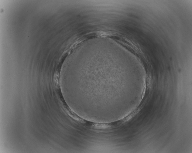 X0000084030766200703022122