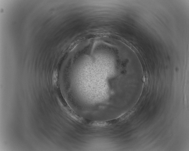 X0000084030767200703022122