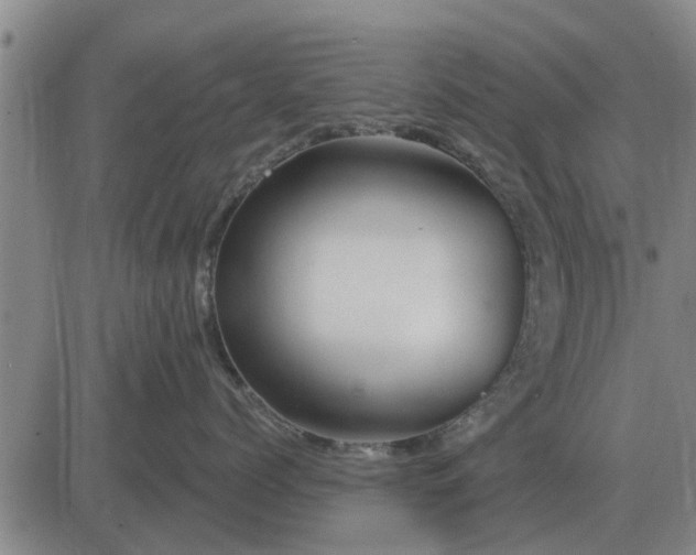 X0000084030768200703022122