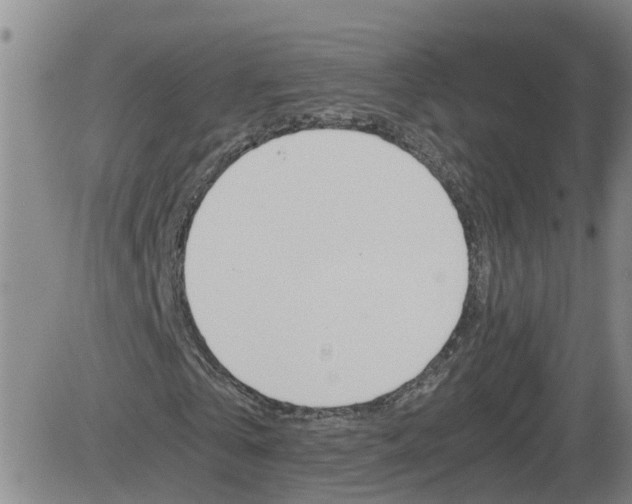 X0000084030769200703022122