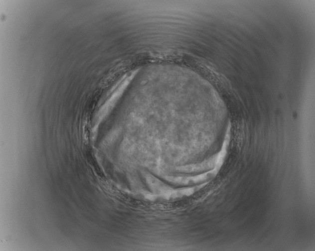 X0000084030770200703022122