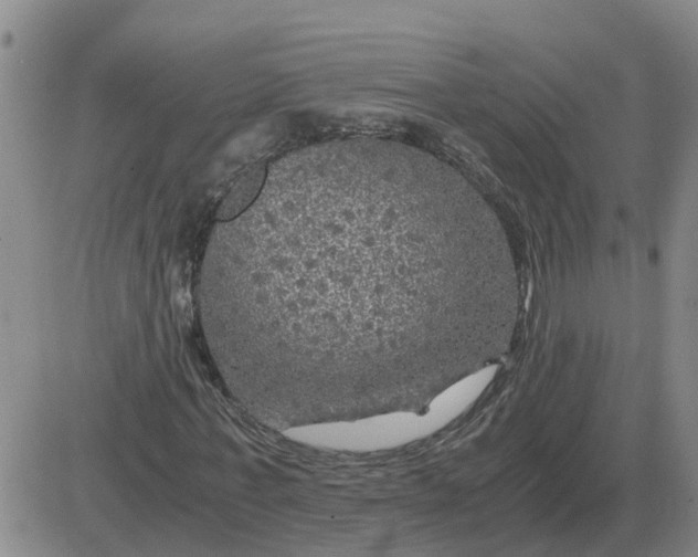 X0000084030771200703022122