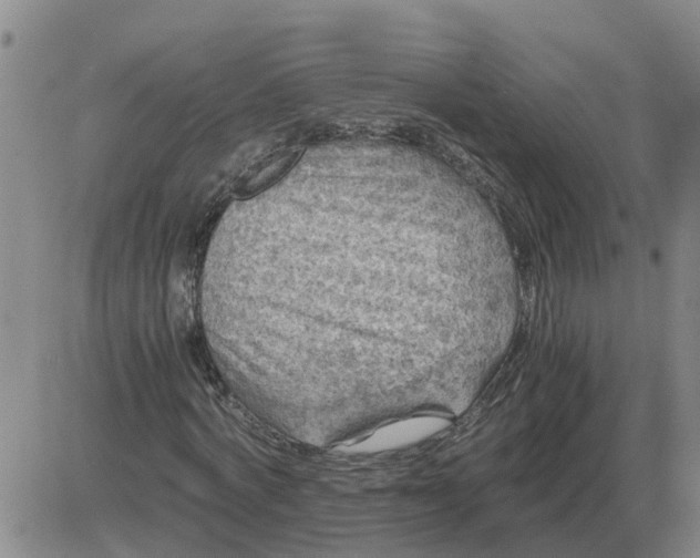 X0000084030772200703022122