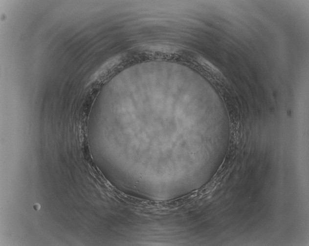 X0000084030774200703022122