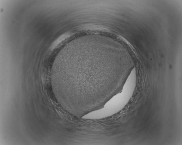 X0000084030775200703022121