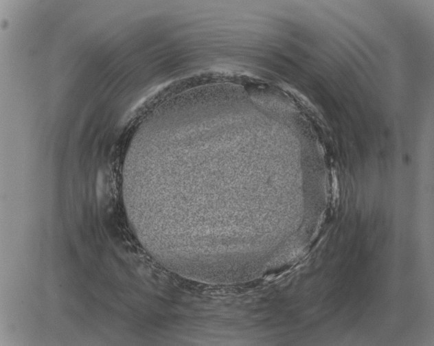 X0000084030776200703022121