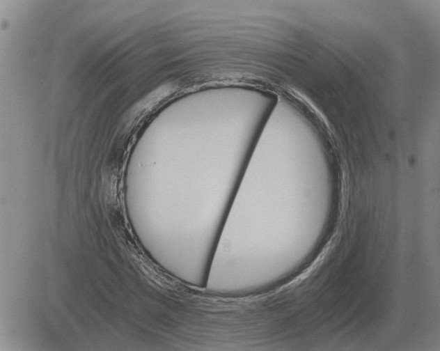 X0000084030777200703022121