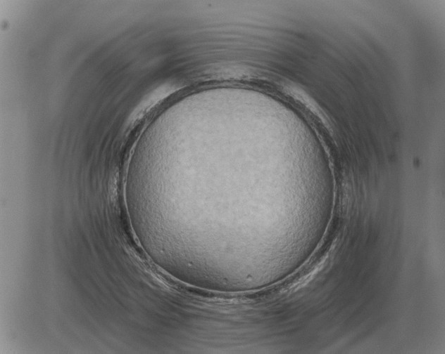 X0000084030778200703022121