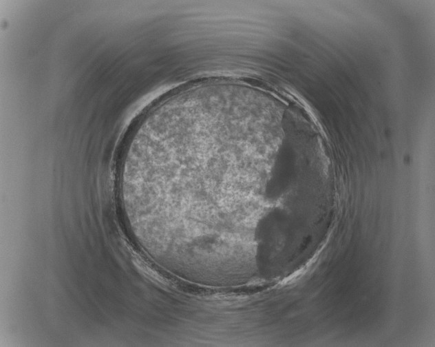 X0000084030779200703022121