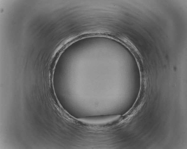 X0000084030781200703022121