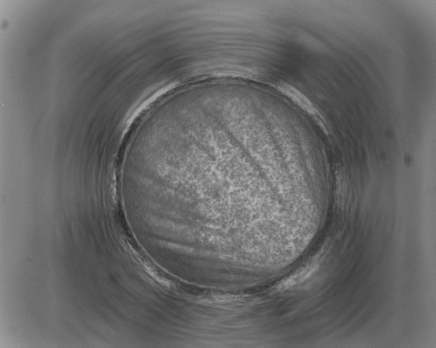 X0000084030782200703022121