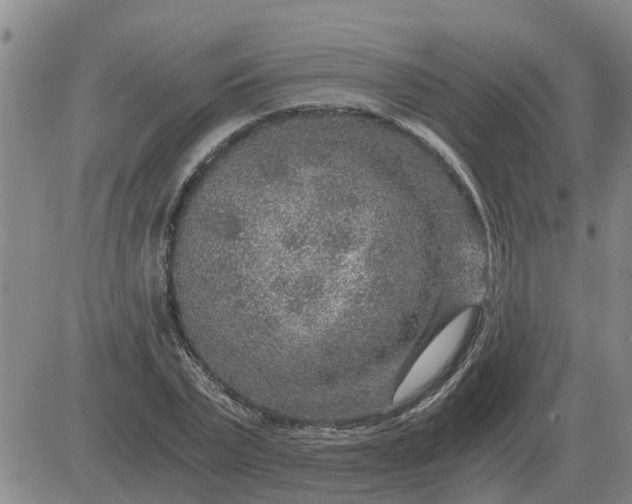 X0000084030783200703022121