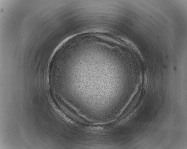 X0000084030784200703022121