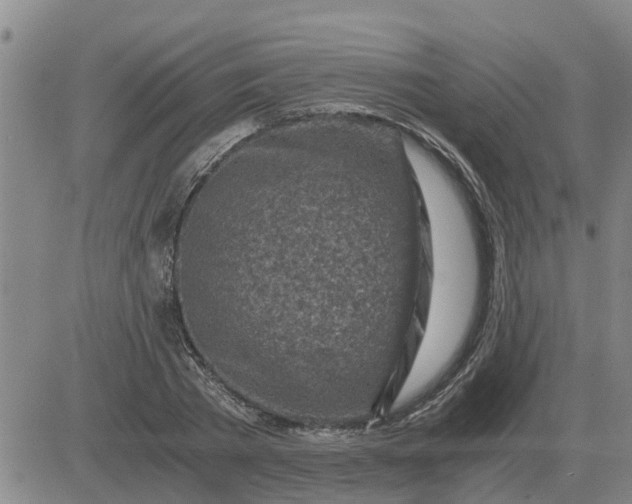 X0000084030785200703022121