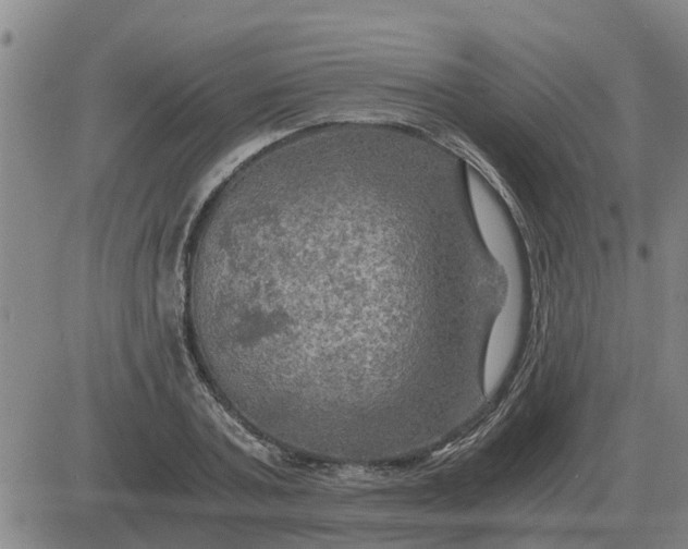 X0000084030787200703022121