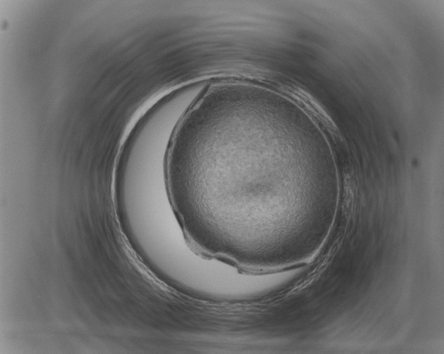 X0000084030788200703022121